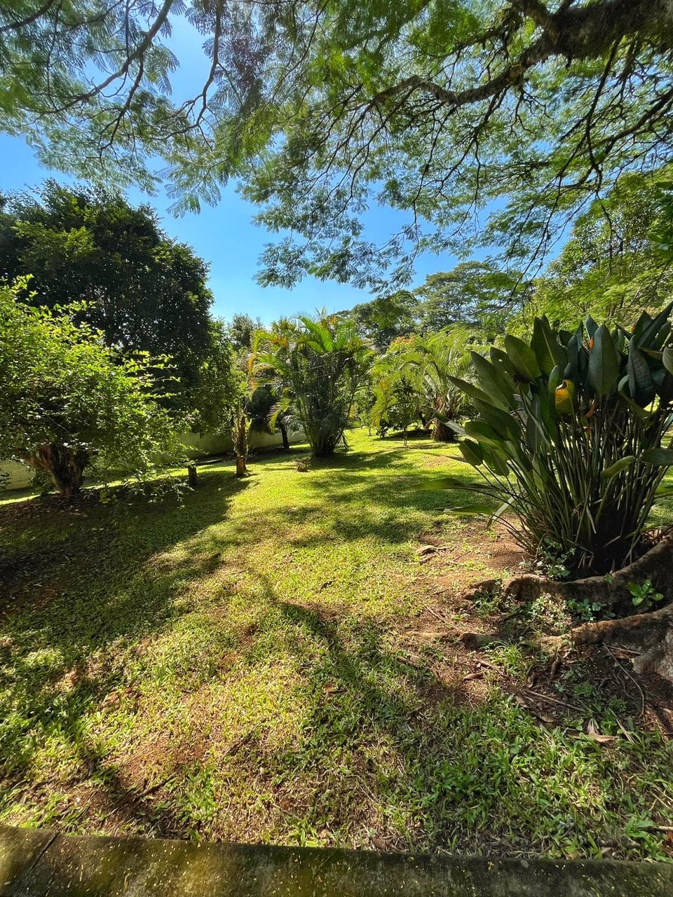 Chácara com 3 dormitórios à venda, 5000 m² por R$ 3.750.000,00 - Mogi Moderno - Mogi das Cruzes/SP, foto 57 de 63