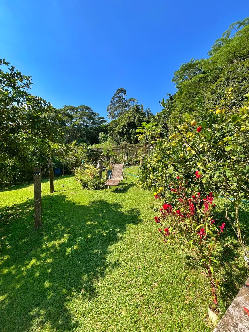 Chácara com 3 dormitórios à venda, 5000 m² por R$ 3.750.000,00 - Mogi Moderno - Mogi das Cruzes/SP, foto 61 de 63