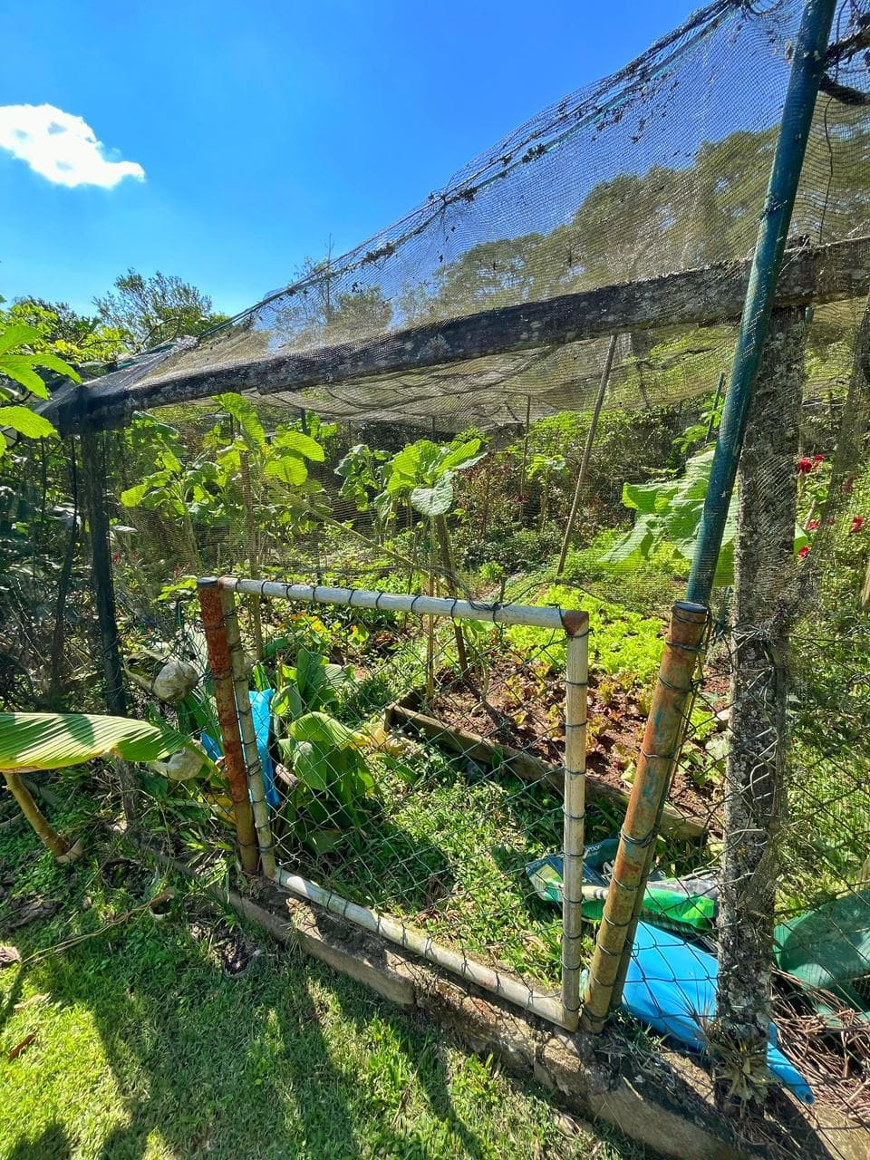 Chácara com 3 dormitórios à venda, 5000 m² por R$ 3.750.000,00 - Mogi Moderno - Mogi das Cruzes/SP, foto 63 de 63