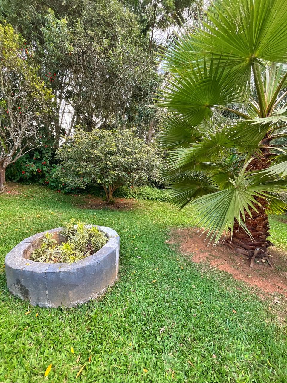Chácara com 3 dormitórios à venda, 5000 m² por R$ 3.750.000,00 - Mogi Moderno - Mogi das Cruzes/SP, foto 50 de 63