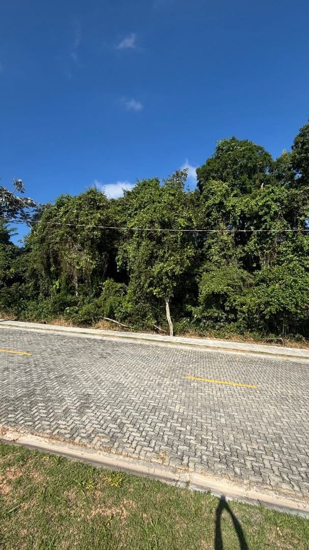 Terreno de 350m² com vista permanente para natureza à venda por R$ 525.000 - Real Park II, Mogi das Cruzes/SP, foto 4 de 6